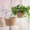Plantenhanger mand 01