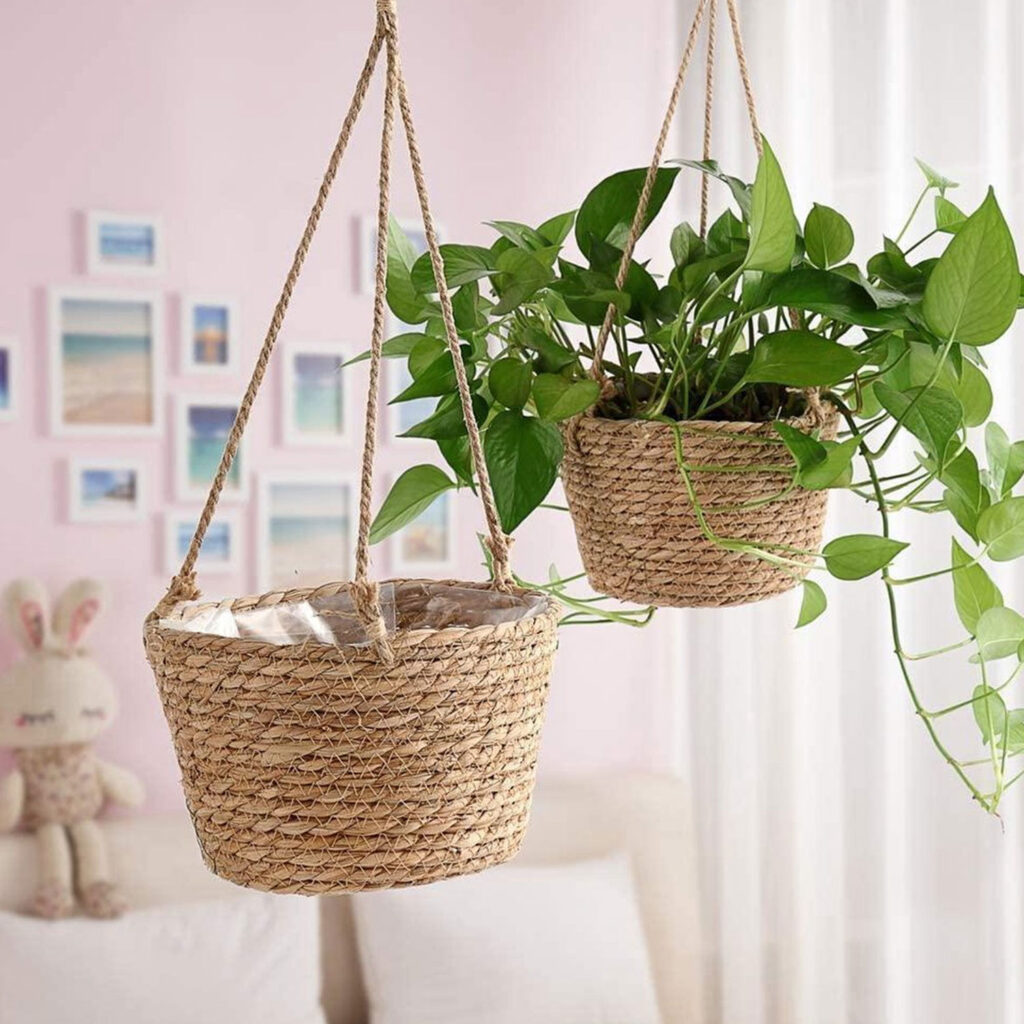 Plantenhanger mand 01