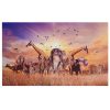 Puzzel Wilde Dieren 500 stukjes 02