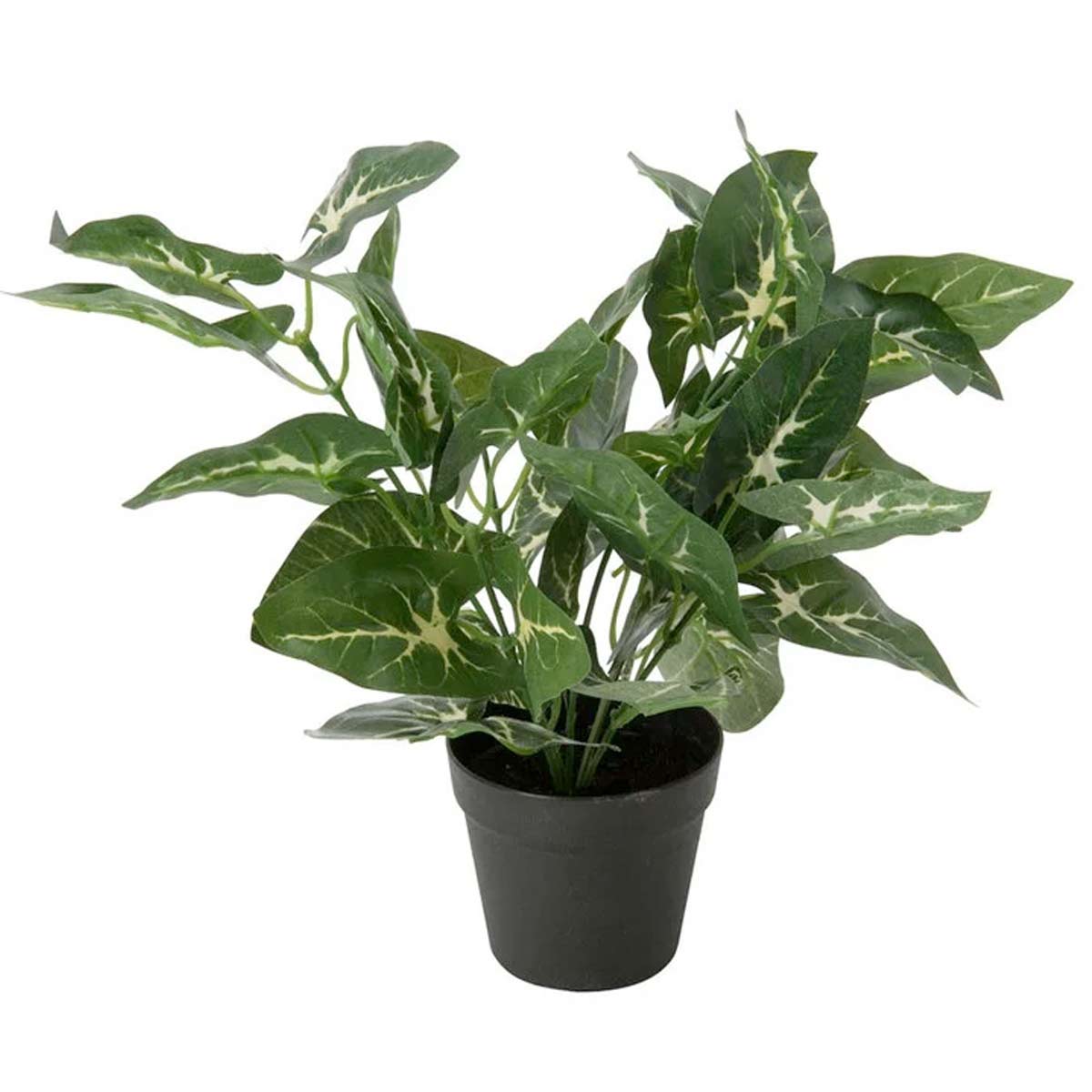 Caladium Kunstplant 1