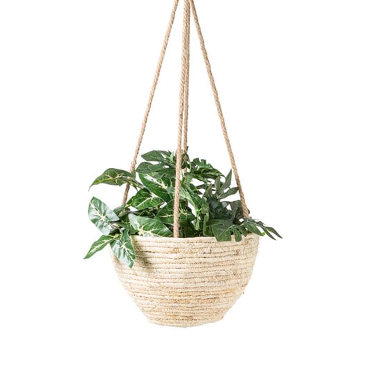 Caladium Kunstplant 3