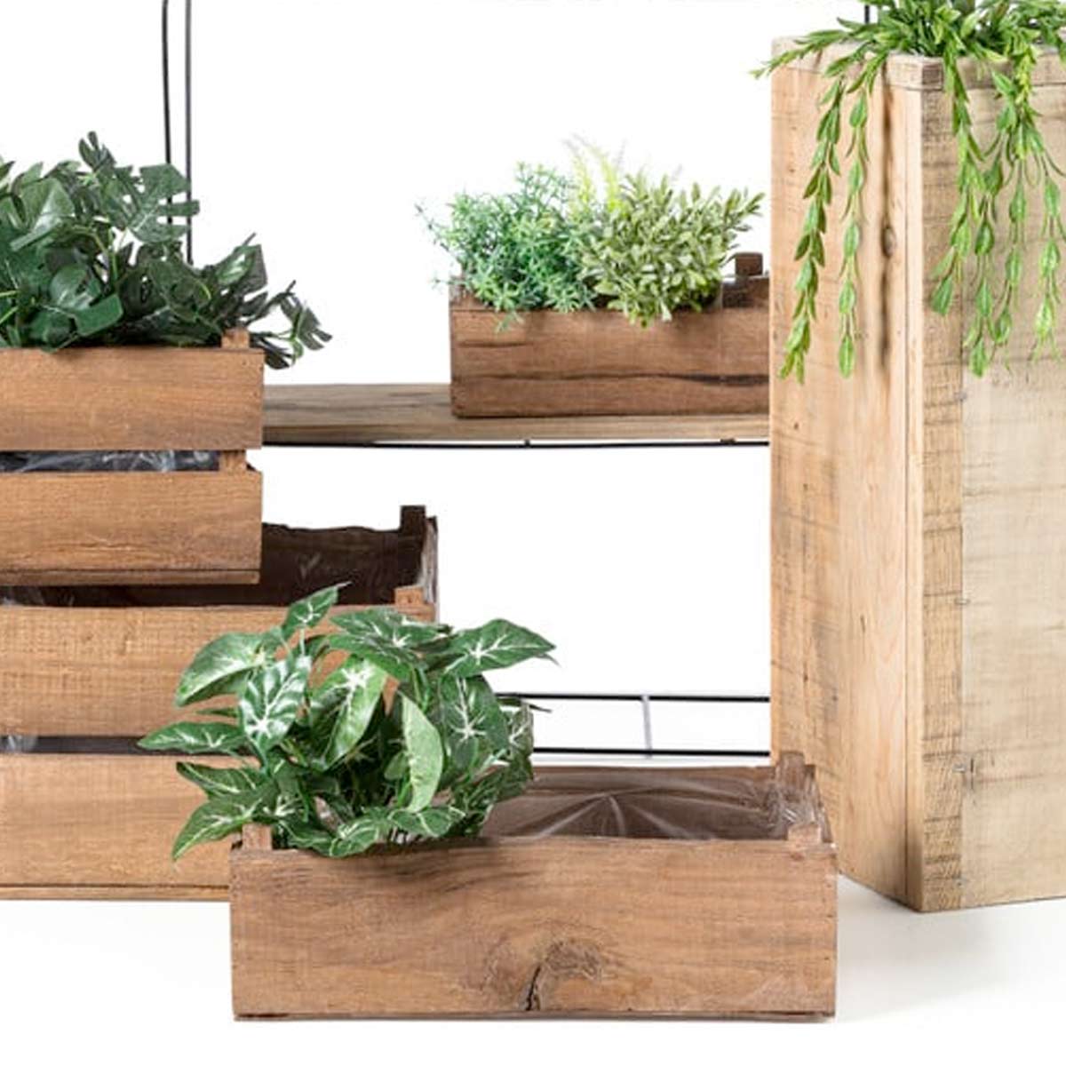 Caladium Kunstplant 5