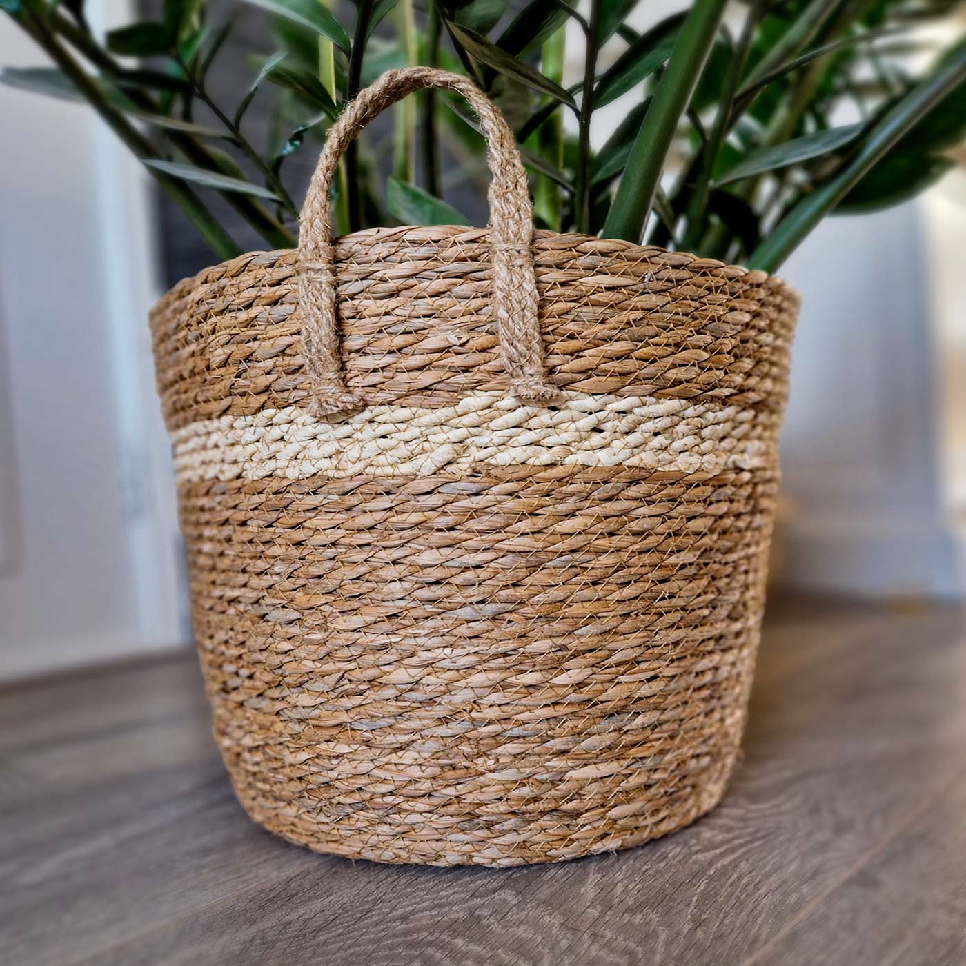 Planten mand Hengsels Naturel 02