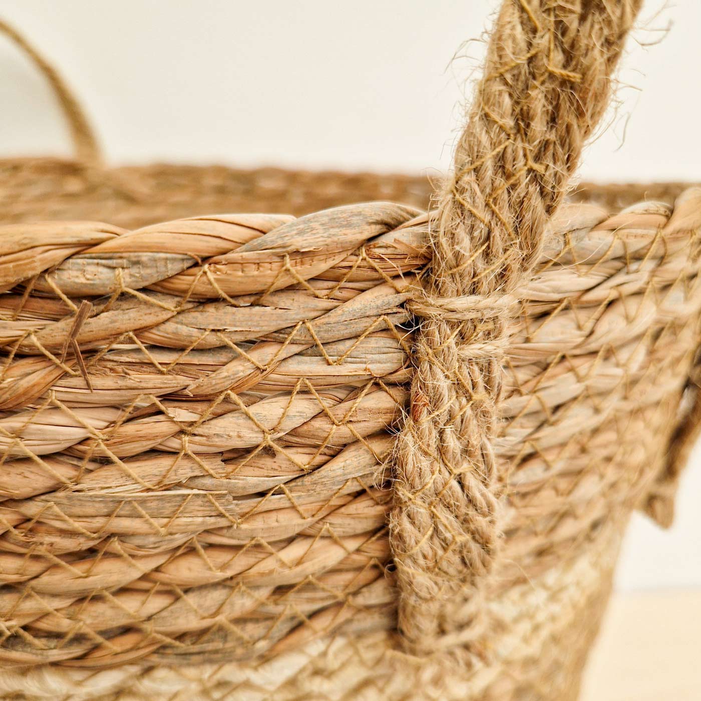 Planten mand Hengsels Naturel 06